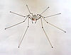 led cyber spider